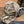 Load image into Gallery viewer, Beretta truckers hat, Max 5 Camo