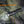 Load image into Gallery viewer, Fenix PD36 TAC Tactical Flashlight