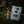 Load image into Gallery viewer, Spypoint FLEX-DARK Cellular Trail Camera