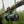 Load image into Gallery viewer, TACTACAM SOLO XTREME