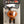 Load image into Gallery viewer, Allen Titan Crossbow Rope Cocker