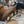 Load image into Gallery viewer, Browning BLR 7mm-08 - 2016 model (consignment)
