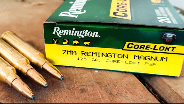 Remington 7mm REM. MAG. 175GR. PSP