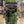 Load image into Gallery viewer, Traditions Nitrofire 50cal Muzzle Loader - Mint - (used)
