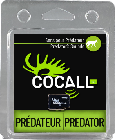 Cocall Predator hunting sound card