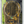 Load image into Gallery viewer, COCALL-BUDDY
