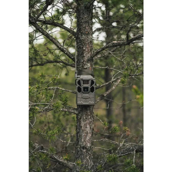Tactacam REVEAL X 3.0 (2-Pack)
