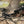 Load image into Gallery viewer, Excalibur MICRO 340 TD REALTREE TIMBER
