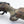 Load image into Gallery viewer, Browning A-Bolt Camo 12ga
