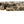 Load image into Gallery viewer, Winchester SXP Waterfowl Hunter 12ga
