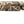 Load image into Gallery viewer, Winchester SXP Waterfowl Hunter 12ga
