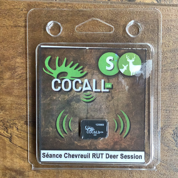 Cocall Rut Deer Session SD card