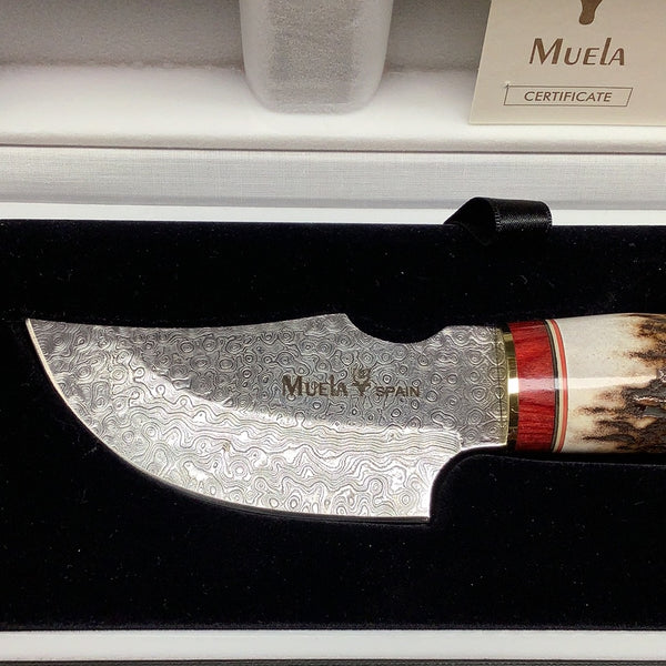 Muela Collector Damascus Steel skinning knife